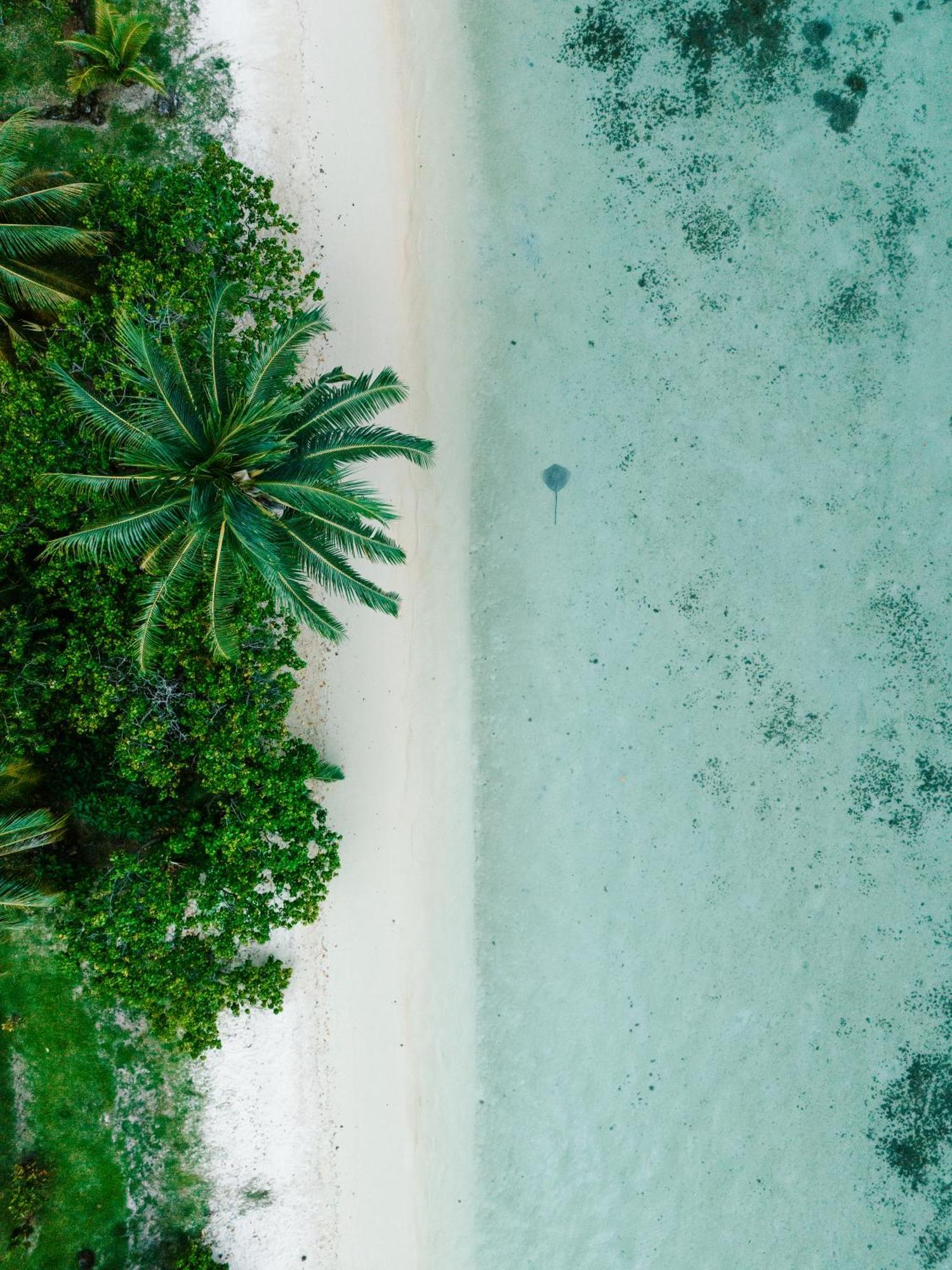 Niu Beach Hotel Moorea Extérieur photo